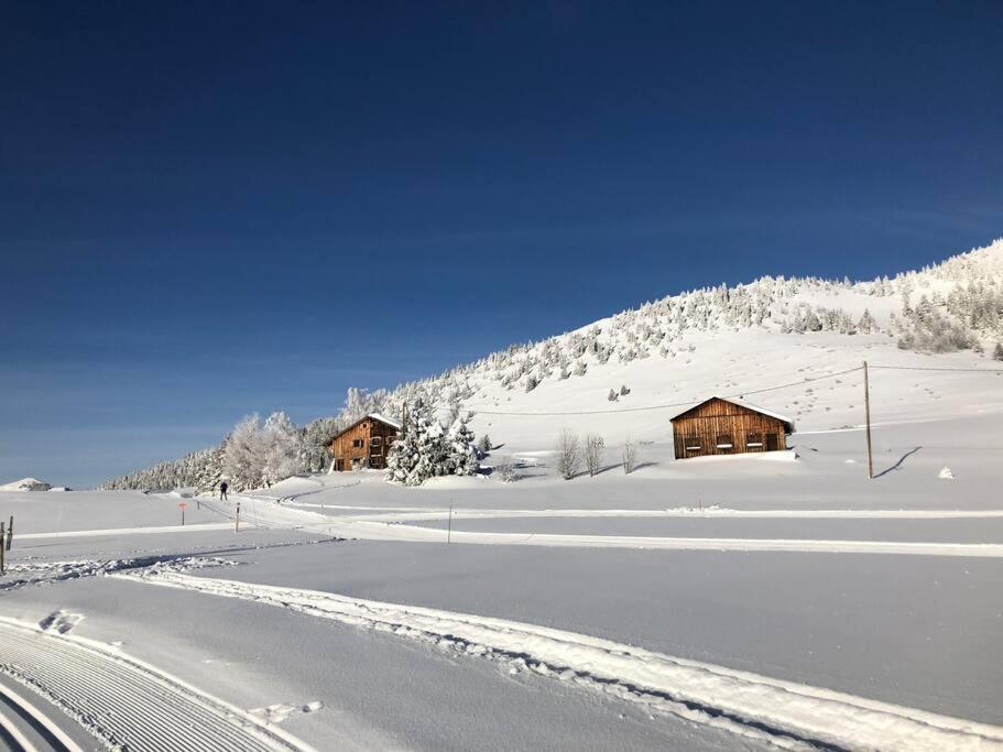 Appartement Au Pays Du Mont-Blanc Sallanches Eksteriør bilde